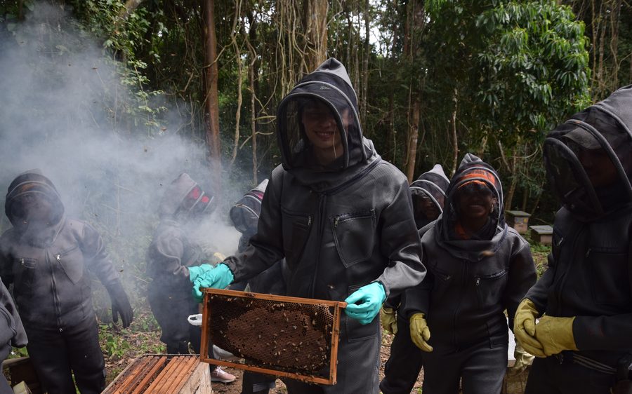 Proyecto comunitario de apicultura