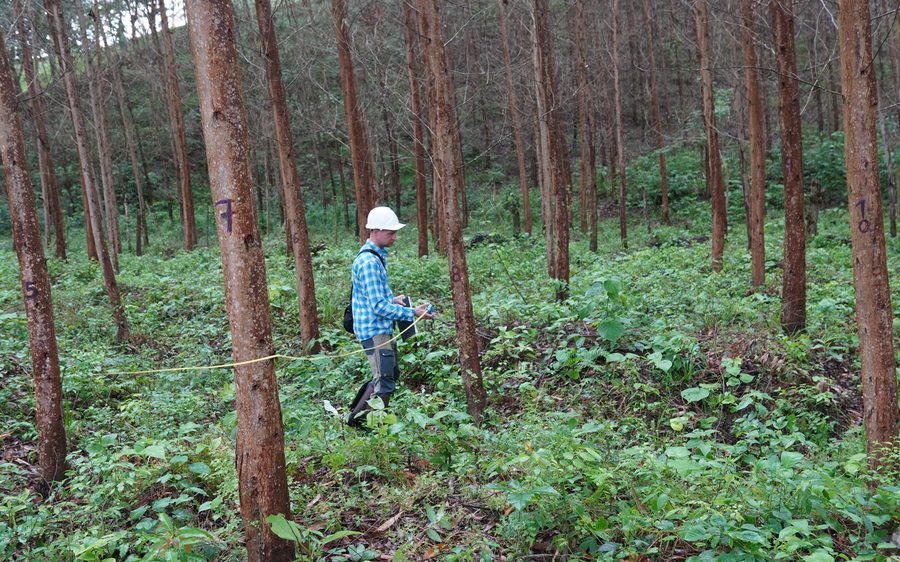 Técnico forestal en labores de monitoreo
