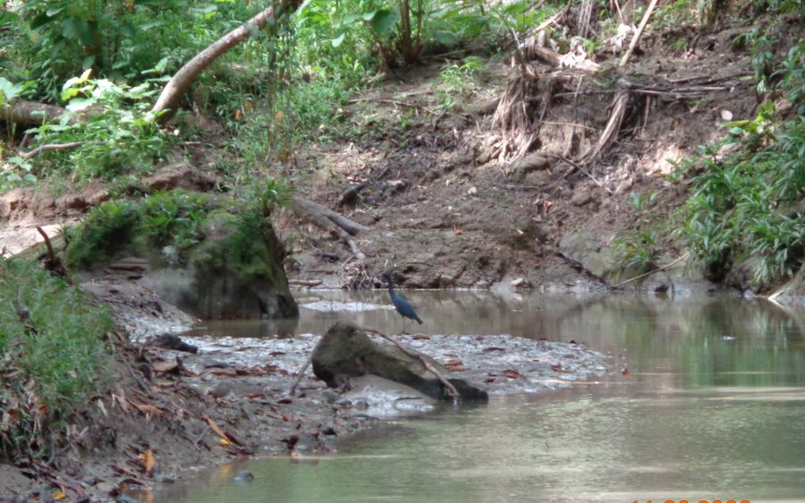 Quebrada protegida como recurso hídrico