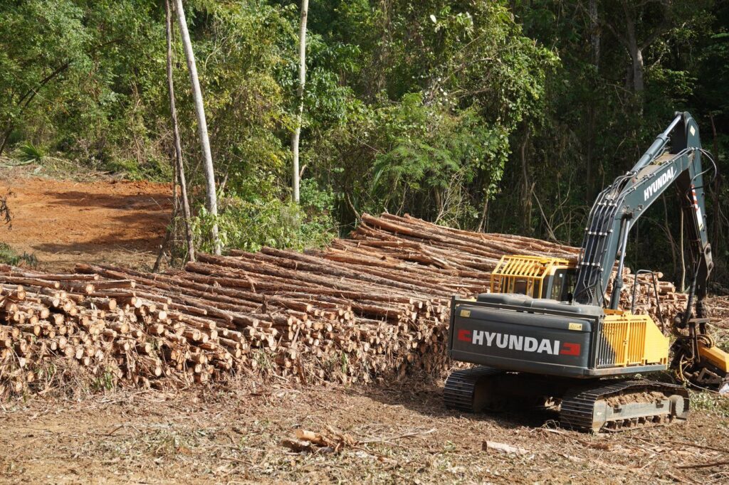 Cosecha forestal con maquinaria y madera arrumada