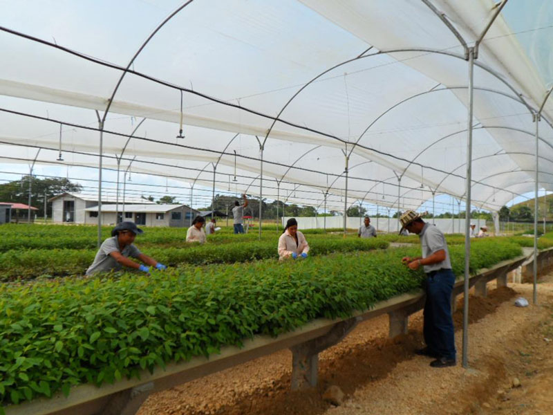 Vivero-2013