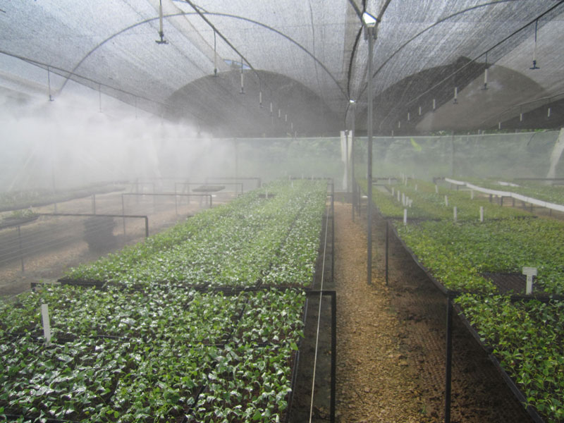 Vivero-3