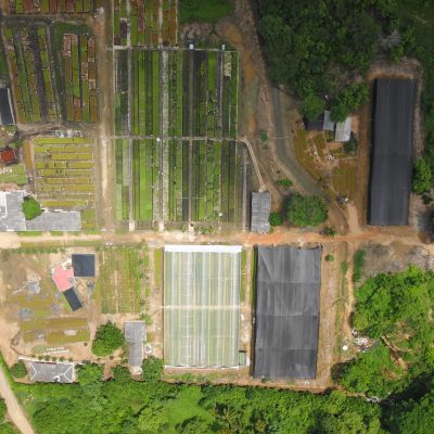 Vivero 2021_2